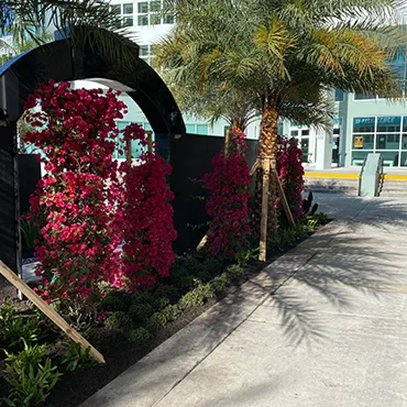 All smooth commercial desing landscaping at miami florida