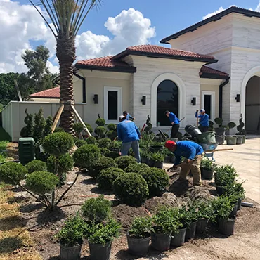 Mansions landscaping desing at miami with All smooth Landscaping